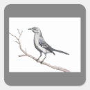 Suche nach spottdrossel aufkleber Vogelvogel