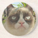 Suche nach mürrisch untersetzer Katze