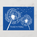 Suche nach dandelions postkarten Flora