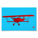 Suche nach flugzeug foto poster Rot