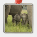 Suche nach indische elefanten ornamente Asiatisch