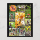 Suche nach mosaiken postkarten Sommer