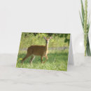 Suche nach hirsch karten Natur