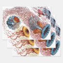 Suche nach quallen geschenkpapier Für alle