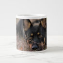 Suche nach german tassen Haustiere