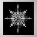 Suche nach haeckel poster Biologie