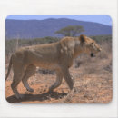 Suche nach löwe afrika mousepads Seitenansicht