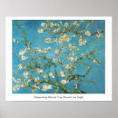 Suche nach almond poster Gogh
