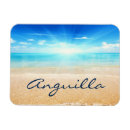 Suche nach anguilla magnete Meer