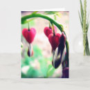 Suche nach blutendes herz karten Fotografie