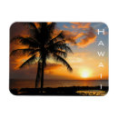 Suche nach hawaii magnete Maui