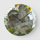 Suche nach sloth wanduhren Tierwelt