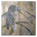 Suche nach kanada untersetzer Tierwelt