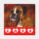 Suche nach boxerhund magnete Welpe