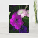 Suche nach thinking of you karten Purple