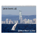 Suche nach surfer kalender Buckel