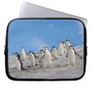 Suche nach penguin laptop schutzhüllen Tierwelt