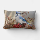 Suche nach rabenvogel Fauna