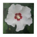 Suche nach whit fliesen Floral