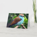 Suche nach blauer vogel karten Begrüßung