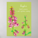 Suche nach botanische malerei poster Für alle