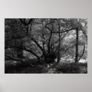 Suche nach ungewöhnliche poster Baum