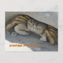 Suche nach strang postkarten Küste