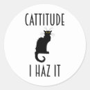 Suche nach cattitude Lustiges sprichwort