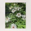 Suche nach pfingstrose puzzle Natur