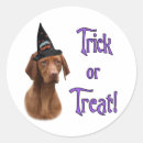 Suche nach vizsla hund aufkleber Hunde