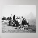 Suche nach camel poster Sand