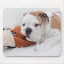Suche nach englische bulldoggen mousepads Welpe