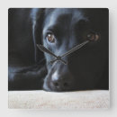 Suche nach schwarzer labrador wanduhren Für alle