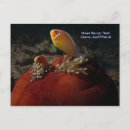 Suche nach koralle postkarten Für sie/ihn