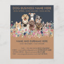 Suche nach sitz flyer Hund