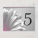 Suche nach gerbera tischkarten Für alle