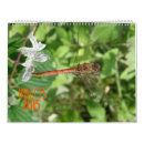 Suche nach marienkäfer kalender Wild lebende tiere