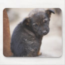 Suche nach traurigkeit mousepads Tier
