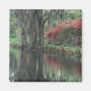 Suche nach moos magnete Usa