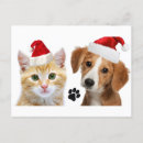 Suche nach niedliche haustiere postkarten Weihnachten