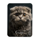 Suche nach pets magnete Katze