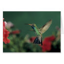 Suche nach voller körper postkarten Tag