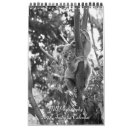 Suche nach surfer kalender Sand