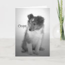 Suche nach collie karten Sheltie