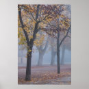 Suche nach rheinland poster Kathedrale
