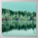 Suche nach blankets poster Fotografie