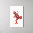 Suche nach waage leinwandbilder Kaltblütig