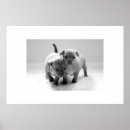 Suche nach großer schwarzer hund poster Weiß