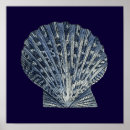 Suche nach indische poster Muscheln