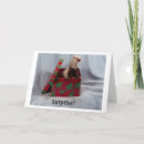 Suche nach frettchen karten Gruß